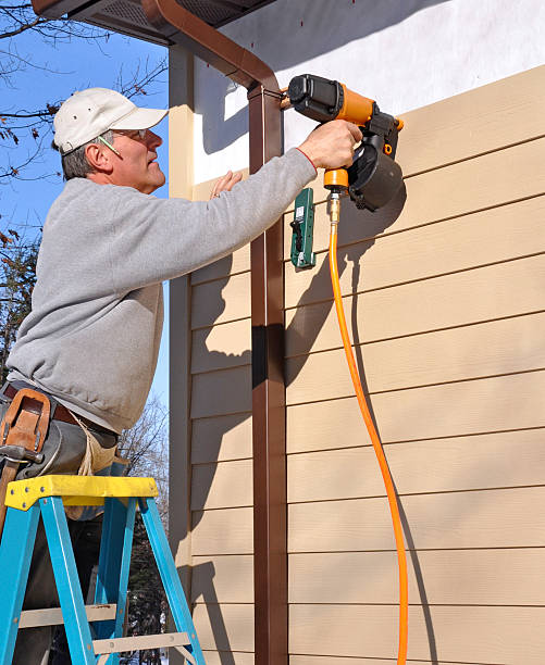 Best Stone Veneer Siding  in Alton, IL